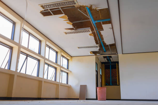 Best Basement water damage restoration  in Coachella, CA