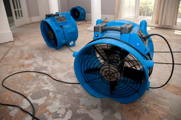 Best 24/7 water damage repair  in Coachella, CA