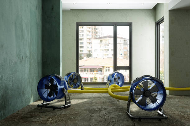 Best Local water damage restoration  in Coachella, CA