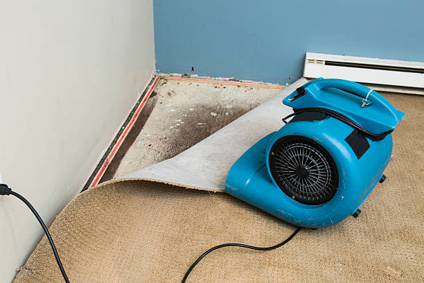 Best Carpet water damage restoration  in Coachella, CA